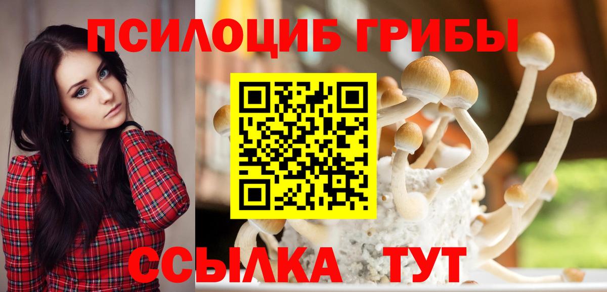 сколько стоит  Галлюциногенные грибы Cubensis  Батайск  Вход с VPN  Псилоцибиновые грибы GOLDEN TEACHER 